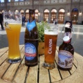 Zwei Bierflaschen und zwei Biergläser
