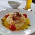 Heilbutt auf Risotto